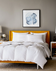 Lucerne Down Comforter