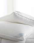 Bergen Down-Free Pillow