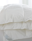 Bergen Down-Free Comforter