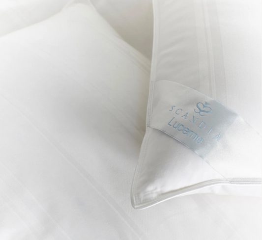 Lucerne Down Pillow